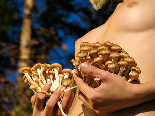 Image showing Girl with mushrooms