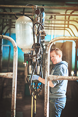 Image showing Lets get ready to milk. Shot of a farmer preparing the cow milking equipment on a dairy farm.