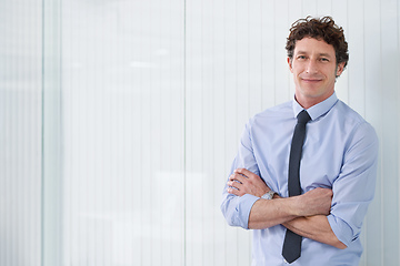 Image showing He shows a lot of potential at work. Cropped shot of a young businessman standing in an office with his arms crossed.