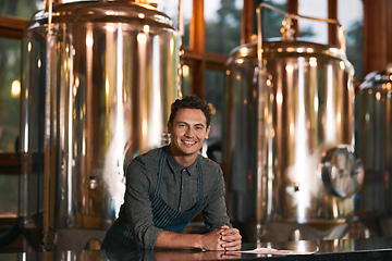 Image showing He knows the business in and out. Portrait of a cheerful young businessman seated at a table inside of a beer brewery during the day.