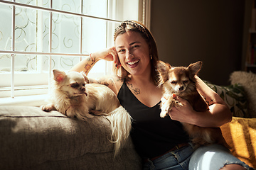 Image showing My chihuahuas put the chi in my life. Shot of a young woman relaxing with her dogs on the sofa at home.