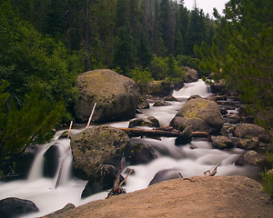 Image showing White River in a Green Forest