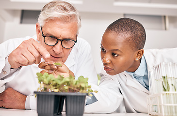 Image showing Research, man or black woman with plants, growth or collaboration with scientific experiment, sustainability or agriculture development. Researchers, internship or workers with data analysis or leaf