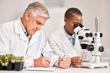 Image showing Science, microscope and sample with a medical team in the laboratory for biochemistry or sustainability. Research, agriculture or growth with a man and woman scientist in a lab for innovation