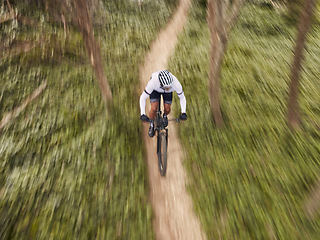 Image showing Speed, nature and cyclist on bicycle from above with helmet, exercise adventure trail and forrest fitness. Cycling, woods and man with mountain bike in trees for workout, motivation or fast energy.