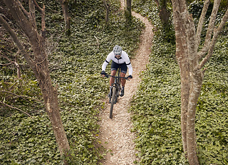 Image showing Forest path, mountain bike and sports person travel, ride and adventure on nature trail, cycling challenge or bicycle journey. Top view, environment and athlete training, fitness and freedom in woods