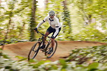 Image showing Blurred trees, cycling and man in nature training for a race, marathon or competition in forest. Fast, fitness and male cyclist athlete riding bicycle at speed for cardio exercise or workout in woods