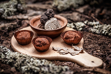 Image showing Gourmet chocolate truffles