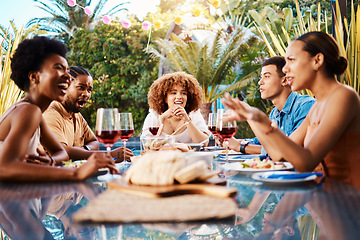 Image showing Happy people at table, lunch in garden and conversation bbq event with diversity, food and wine. Outdoor dinner party, men and women together, friends eating with talking in backyard in summer.