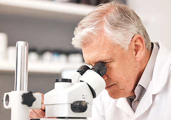 Image showing Scientist, man and microscope in laboratory research, DNA analysis and pharmaceutical development or medical study. Professional science or senior person in biotechnology and lens check for particles