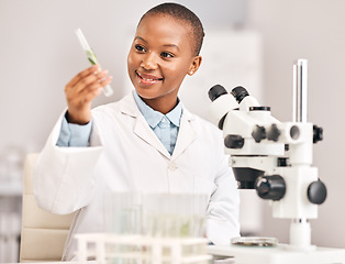 Image showing Scientist, woman and plants, test tube and pharmaceutical research, sustainable or herbs medicine in laboratory. Medical student or happy african person in science analysis with eco friendly solution