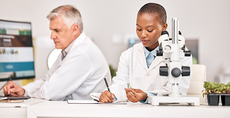 Image showing Laboratory, plants and scientist writing with notes and agriculture study for food security. Eco research team and sustainability with leaf growth and ecology test with fertilizer and soil data