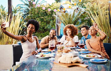 Image showing Friends in selfie at lunch in garden, food and wine at happy event with diversity in outdoor bonding together. Photography, men and women at dinner party table, people eating with drinks in backyard.