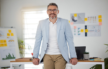 Image showing Portrait. business and man with a smile, ceo and management with career, investor and person in a workplace. Employee, accountant and trader with entrepreneurship, corporate executive and consultant