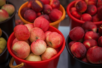 Image showing Bucket with apples