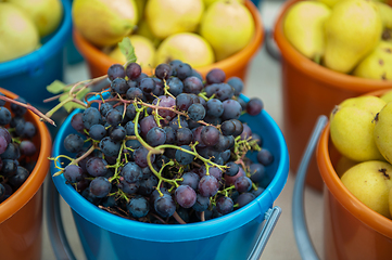 Image showing Bucket with grapes