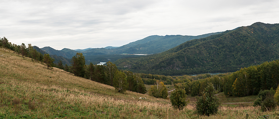 Image showing Autumn day in Altai mountains