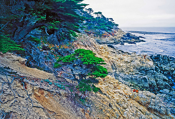 Image showing Point Lobos