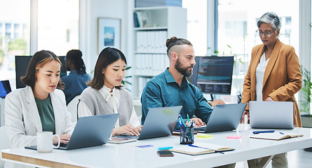 Image showing Coworking, laptop and startup staff with senior woman mentor and teamwork for project. Planning, computer and working business people with digital research for marketing company with collaboration