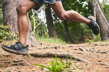 Image showing Running, fitness and legs of man in forest for marathon training, exercise and cardio workout. Sports, nature and feet of athlete in woods for wellness, healthy body and muscle for race or challenge