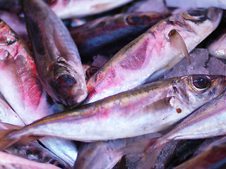 Image showing fresh fish