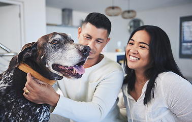 Image showing Happy, playing and a couple with a dog in a house for love, care and bonding with a pet. Smile, apartment and a young playful man and woman with an animal in the living room of a home together