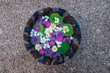 Image showing Bowl with water and flowers