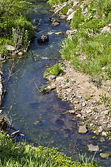 Image showing part of the creek