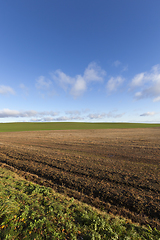 Image showing field after harvest