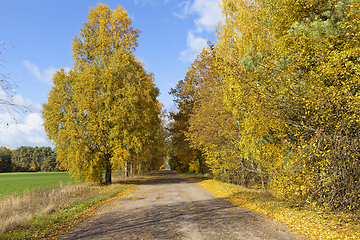 Image showing beautiful natural foliage