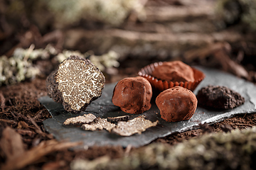 Image showing Gourmet chocolate truffles