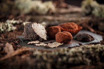 Image showing Fine chocolate pralines