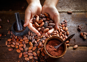 Image showing Cocoa beans