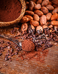 Image showing Cocoa (cacao) beans