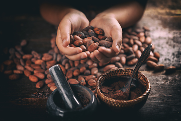 Image showing Roasted cocoa beans