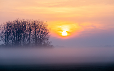 Image showing Sunrise landscape of Hortobagy landscape