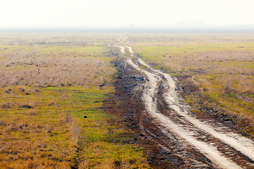 Image showing misty road to nowhere in Hungarian puszta