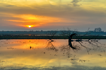 Image showing Sunrise landscape of Hortobagy landscape, Hungary