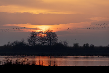 Image showing Sunrise landscape of Hortobagy landscape, Hungary