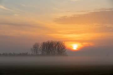 Image showing Sunrise landscape of Hortobagy landscape