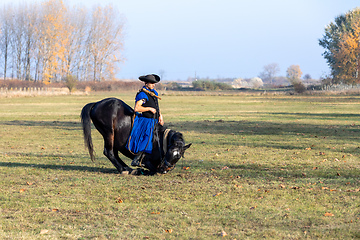 Image showing Hungarian csikos horseman in traditional folk costume
