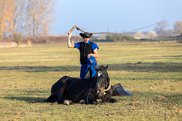 Image showing Hungarian csikos horseman in traditional folk costume