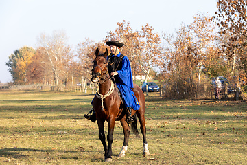 Image showing Hungarian csikos horseman in traditional folk costume