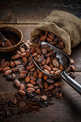 Image showing Roasted cocoa beans