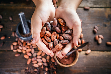 Image showing Hand holds cocoa beans