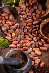 Image showing Cocoa beans