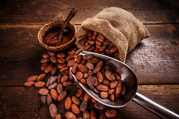 Image showing Still life of cocoa beans