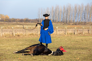 Image showing Hungarian csikos horseman in traditional folk costume