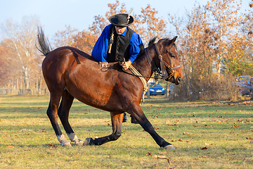 Image showing Hungarian csikos horseman in traditional folk costume