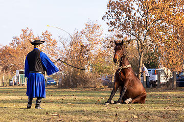 Image showing Hungarian csikos horseman in traditional folk costume